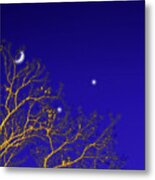 A Little Night Magic Metal Print