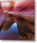 A Moment To Reflect Metal Print