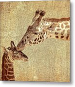 A Mother's Kiss Painted Metal Print
