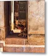 A Mothers Warmth Metal Print