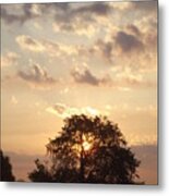 A New Day Metal Print