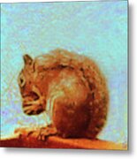 A Nutty Lunch Metal Print