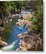 A Parrot In A New Zealand Gorge Metal Print