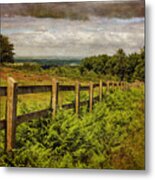 A Path From  A Hill Metal Print