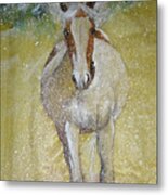 A Picture Of Freedom Metal Print