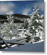 A Place In The Winter Sun Metal Print