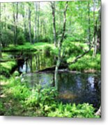 A Place Of Reflections Metal Print