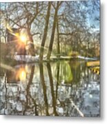 A Pond In Rotterdam Metal Print