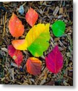 A Pop Of Fall Metal Print