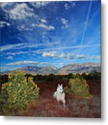 A Portrait In Nature Metal Print