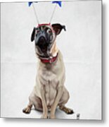 A Pug's Life Metal Print