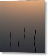 A Quiet Morning On The Ponds Metal Print