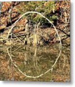 A Ring On The Pond In Fall Metal Print