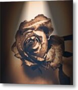 A Rose Is Born Metal Print