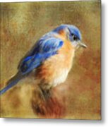 A Songbird In My Heart Metal Print