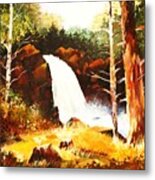 A Spout In The Forest Ll Metal Print