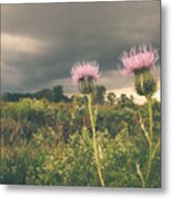A Storm Approaches Metal Print