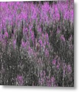 A Suggestion Of Wildflowers Metal Print