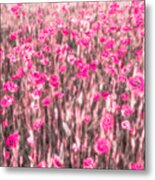A Summer Full Of Poppies Metal Print