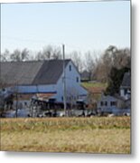 A Sunny November Afternoon Metal Print