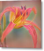 A Thing Of Beauty Lasts Only For A Day. Metal Print