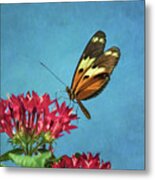 A Touch Of Summer Metal Print