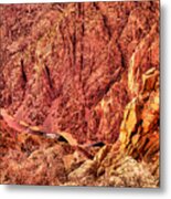 A View Of The Gunnison River Metal Print