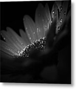 A Vision Of Beauty Metal Print