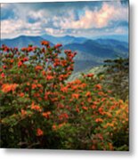 A Visual Feast Metal Print