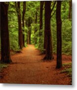 A Walk In The Park Metal Print