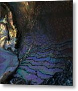 Abalone 3 Metal Print