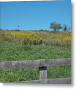 Abandoned Fields 3 Metal Print