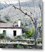 Abandoned House And Dead Tree Metal Print
