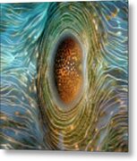 Abstract Clam Metal Print