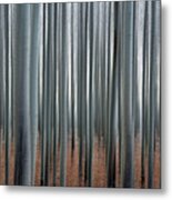 Abstract Poplar Forest Metal Print