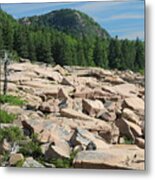 Acadia Coastline Metal Print