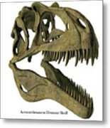 Acrocanthosaurus Skull With Font Metal Print