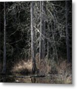 Across The Pond Metal Print