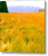 Across The Summer Meadow Metal Print