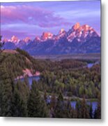 Admiration Metal Print