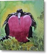 Adult Male Great Frigatebird Metal Print