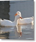 Aflac Ducks ?? Metal Print