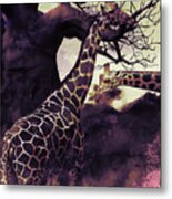 African Giraffe 01 Metal Print