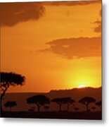 African Sunrise Metal Print