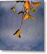 After Summer Leaves Metal Print