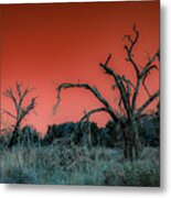 After The Hurricane Wars Metal Print