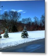 After The Snow Metal Print