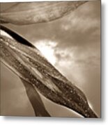 After The Storm Metal Print