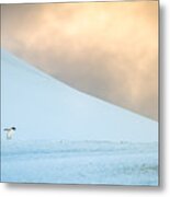 Afternoon Commute - Antarctica Penguin Photograph Metal Print