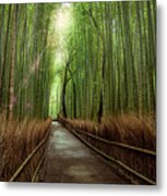 Afternoon In The Bamboo Metal Print